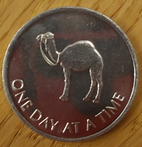 Camel coin recovery - camel,